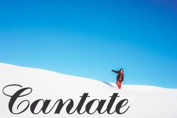 Discovering Cantate: A Bold Script Font for Branding Projects