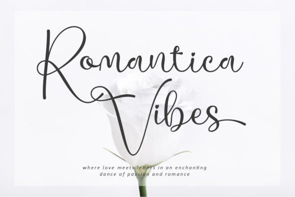 Testing Romantica Vibes for a Boutique Website Redesign