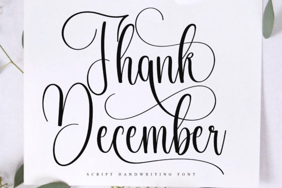 Thank December: A Designer's Verdict on This Script Amp Gem